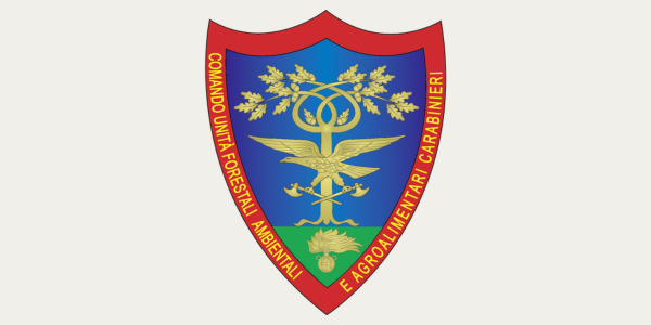 Copia di Progetto senza titolo